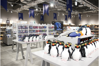 よみもの「2店目：WONDER BOOKS （AOAO SAPPORO）」の見出し画像です