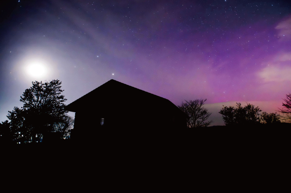 写真１：昨年５月、ボツになった写真