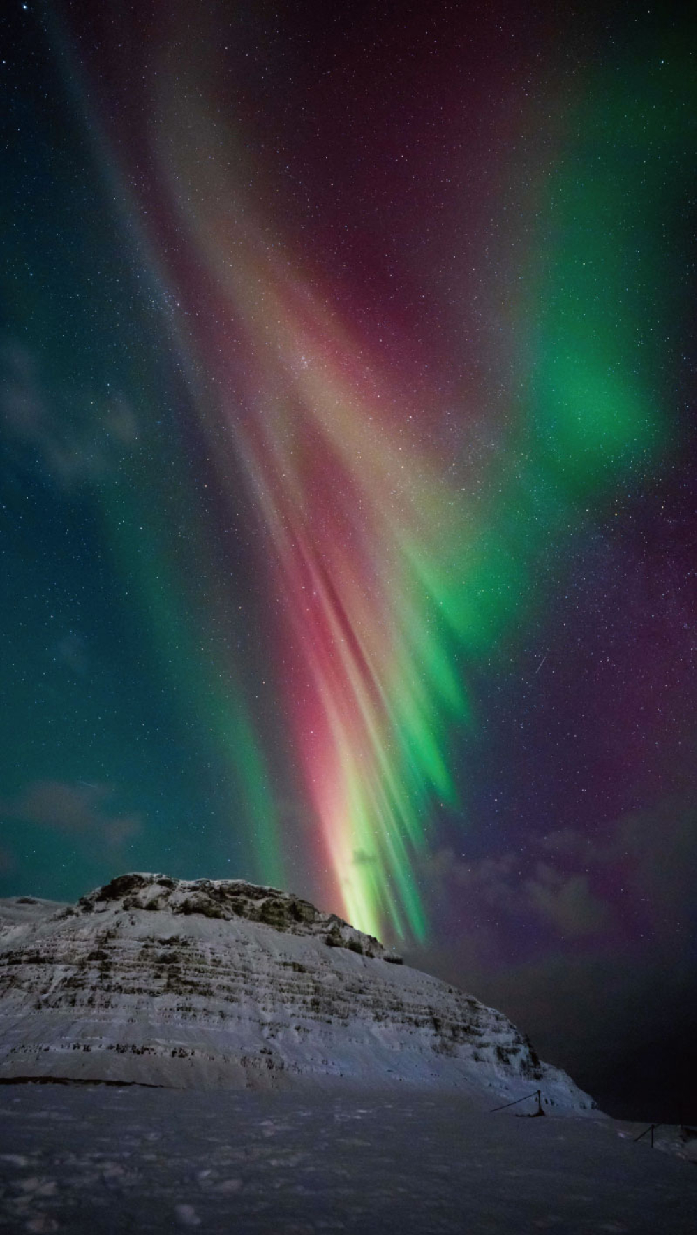 写真2：今年１月、ウラをとった写真