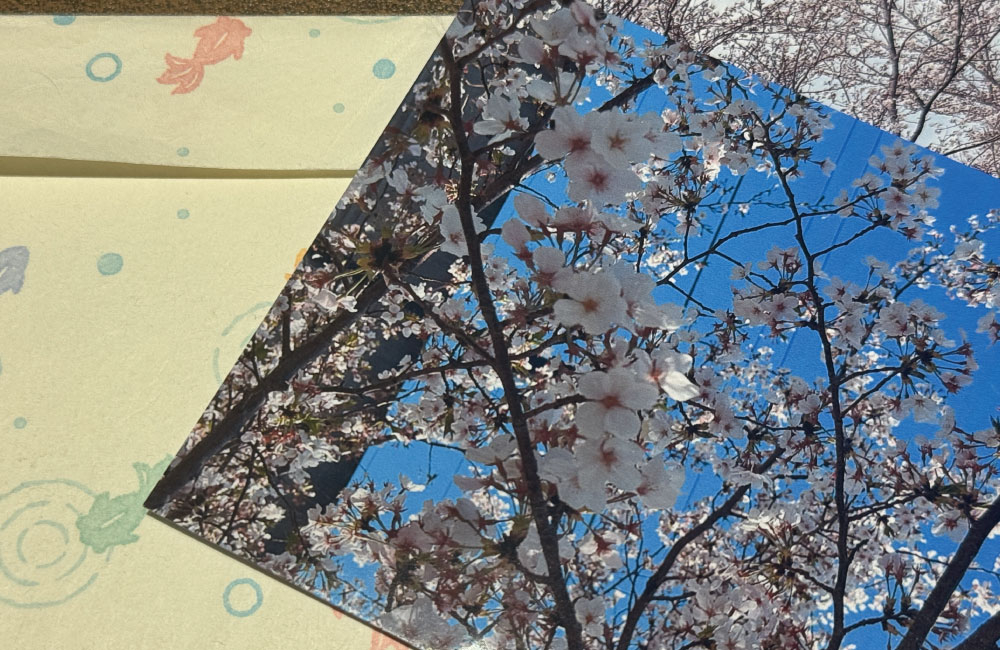 福岡の友人から届いた手紙