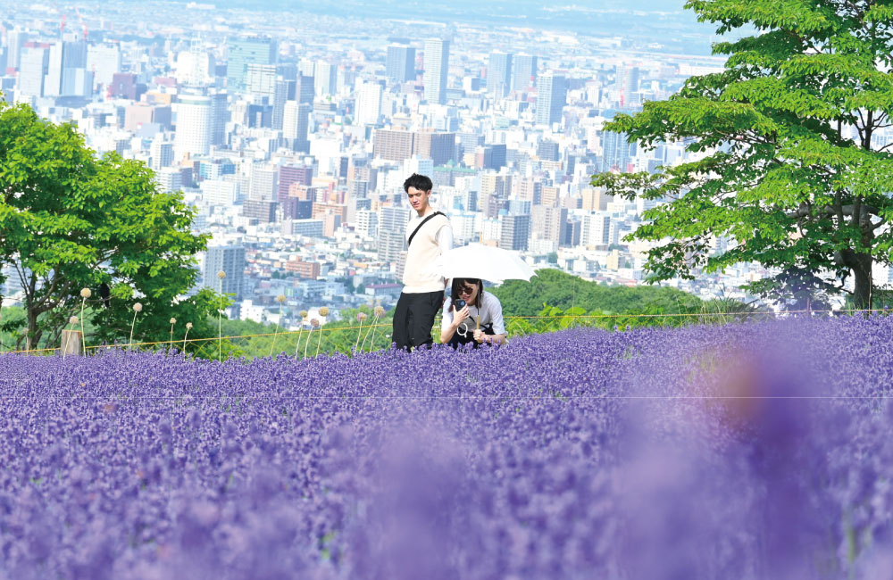 幌見峠のラベンダーを観賞する観光客