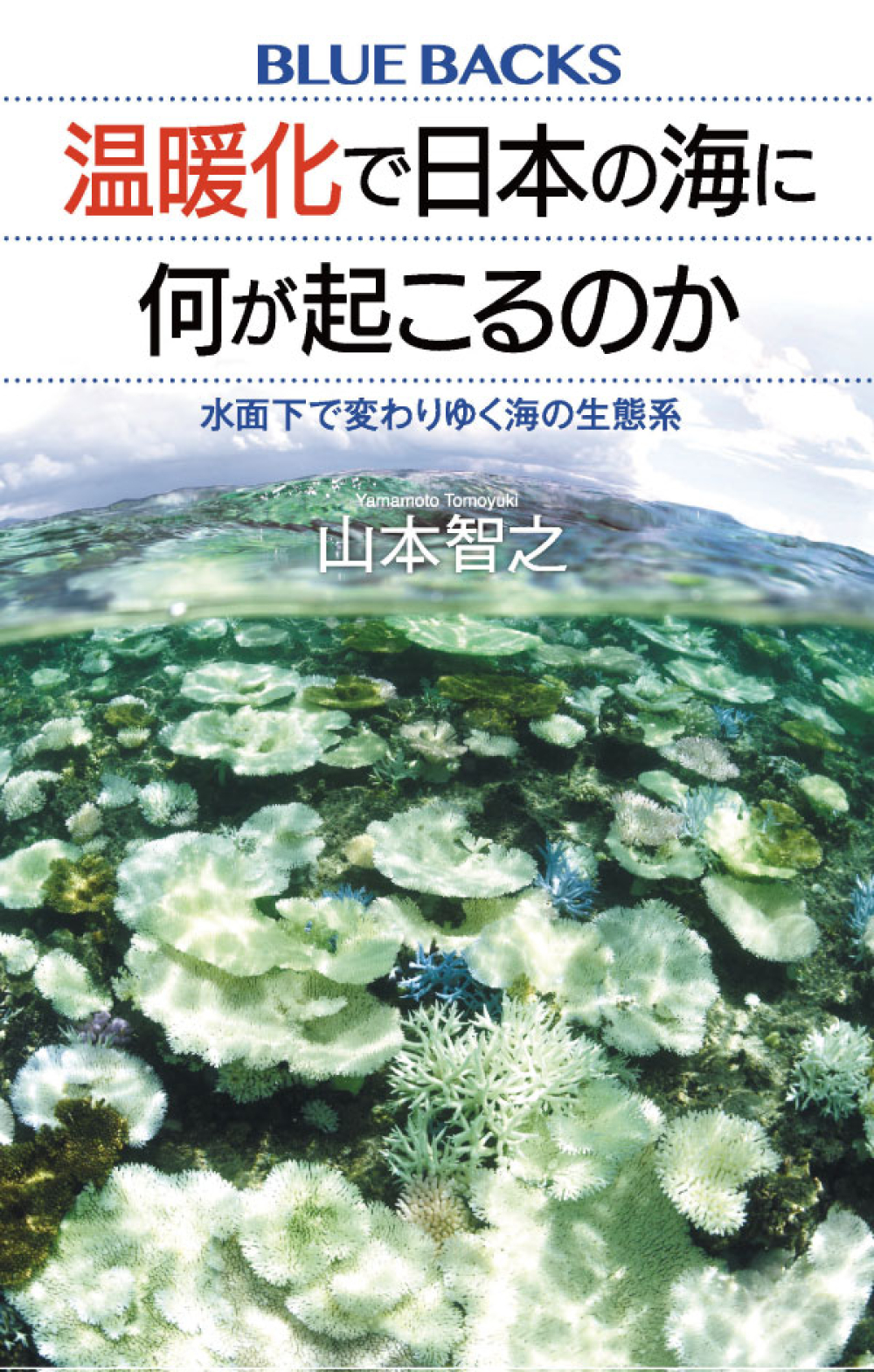 山本記者の執筆したブルーバックス