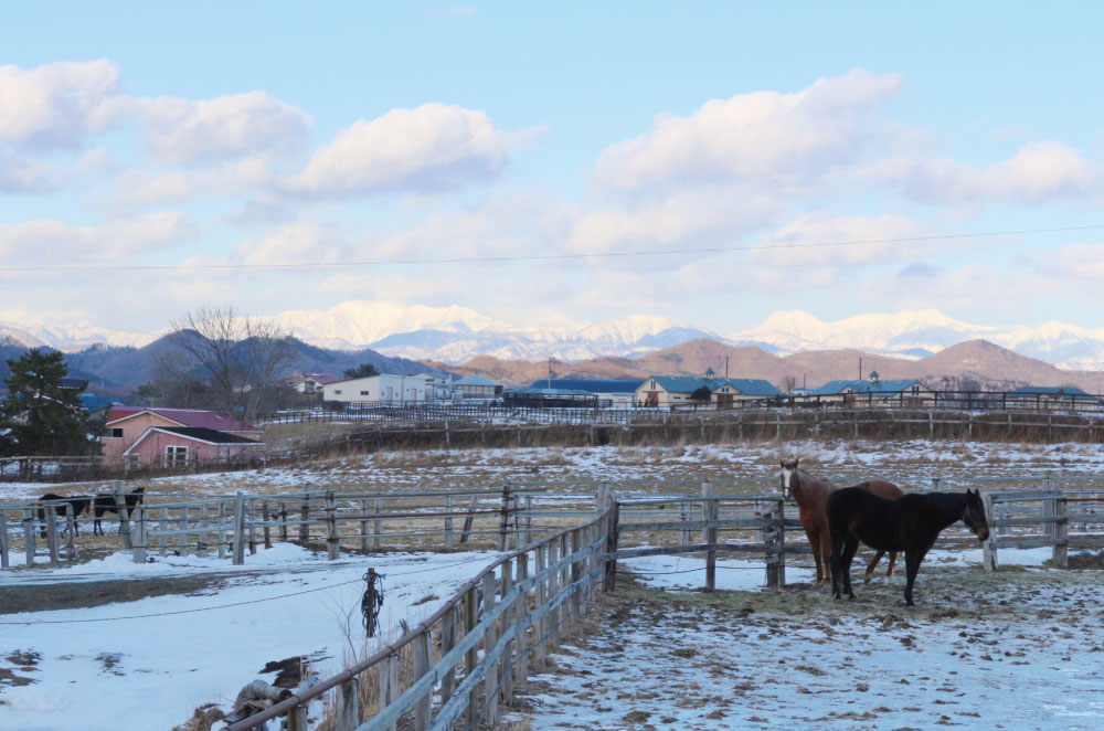 日高山脈を望む牧場=2026年1月9日撮影