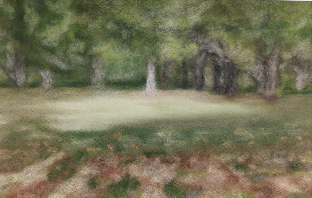 木坂洋平さんの描いた池田さんの栗農園
