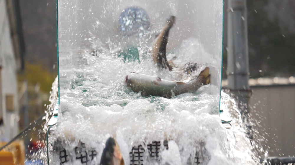 パイプで吸い上げられて、この後トラックに乗せられて、海へ運ばれる。