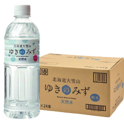 ロジネットジャパン ゆきのみず550ml×24本